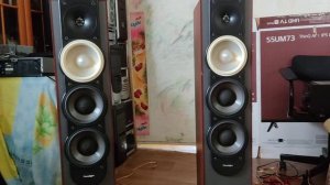 Paradigm Monitor 7v.5 & YAMAHA R-N500 Test #3