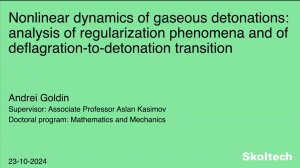 PhD Thesis Defense. Andrei Goldin