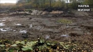 Во Владимирской области Озеро ушло под землю вместе с рыбой