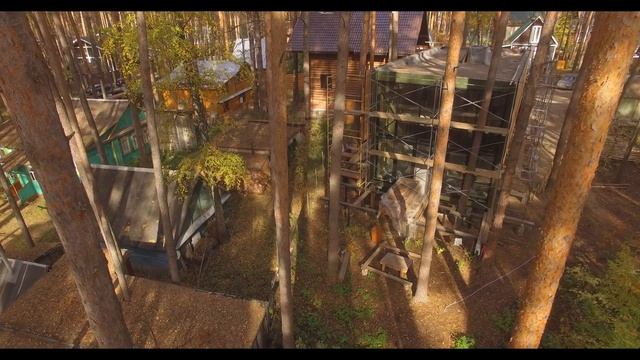 Зеленый бор, Лофт, в процессе смотреть онлайн