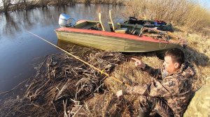 Язь Атакует Удочку Донку Рыбалка на Поплавочки Донки Рыбалка Весной