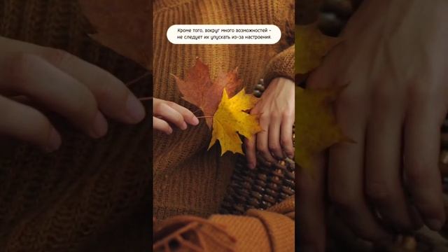 28 ОКТЯБРЯ КАРТА ДНЯ НА ПОНЕДЕЛЬНИК