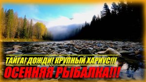 ОСЕННИЙ ОТДЫХ И РЫБАЛКА В ЛУЧШИХ ТРАДИЦИЯХ!!! ОТБОРНЫЙ ХАРИУС!!! ТАЙГА!!#Река Кия #Сибирь