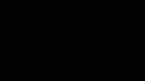 1000029071.mp4