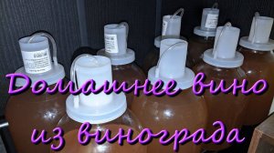 Домашнее Вино Из Винограда Изабелла Пошаговый Рецепт