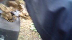 Подготовка веток для измельчителя ЗУБР ЗИЭ-44-2800