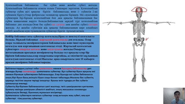 Сүйектердің байланысу типтері
