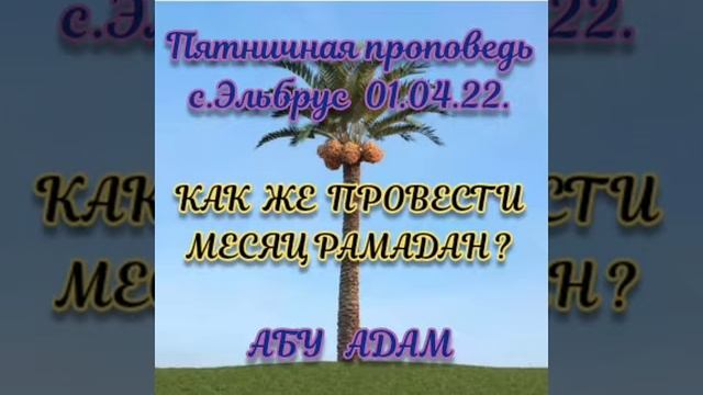 Как должен провести мусульманин месяц Рамадан?! /#коран #сунна #ислам #рамадан #месяцрамадан