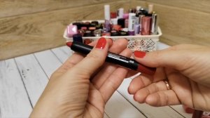 Projectpan 10 помад.