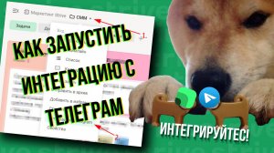 Как запустить интеграцию с Telegram в сервисе STRIVE!