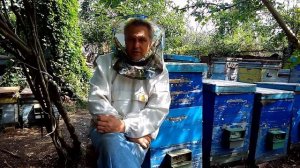 Как правильно выбрать мед при покупке на рынке?