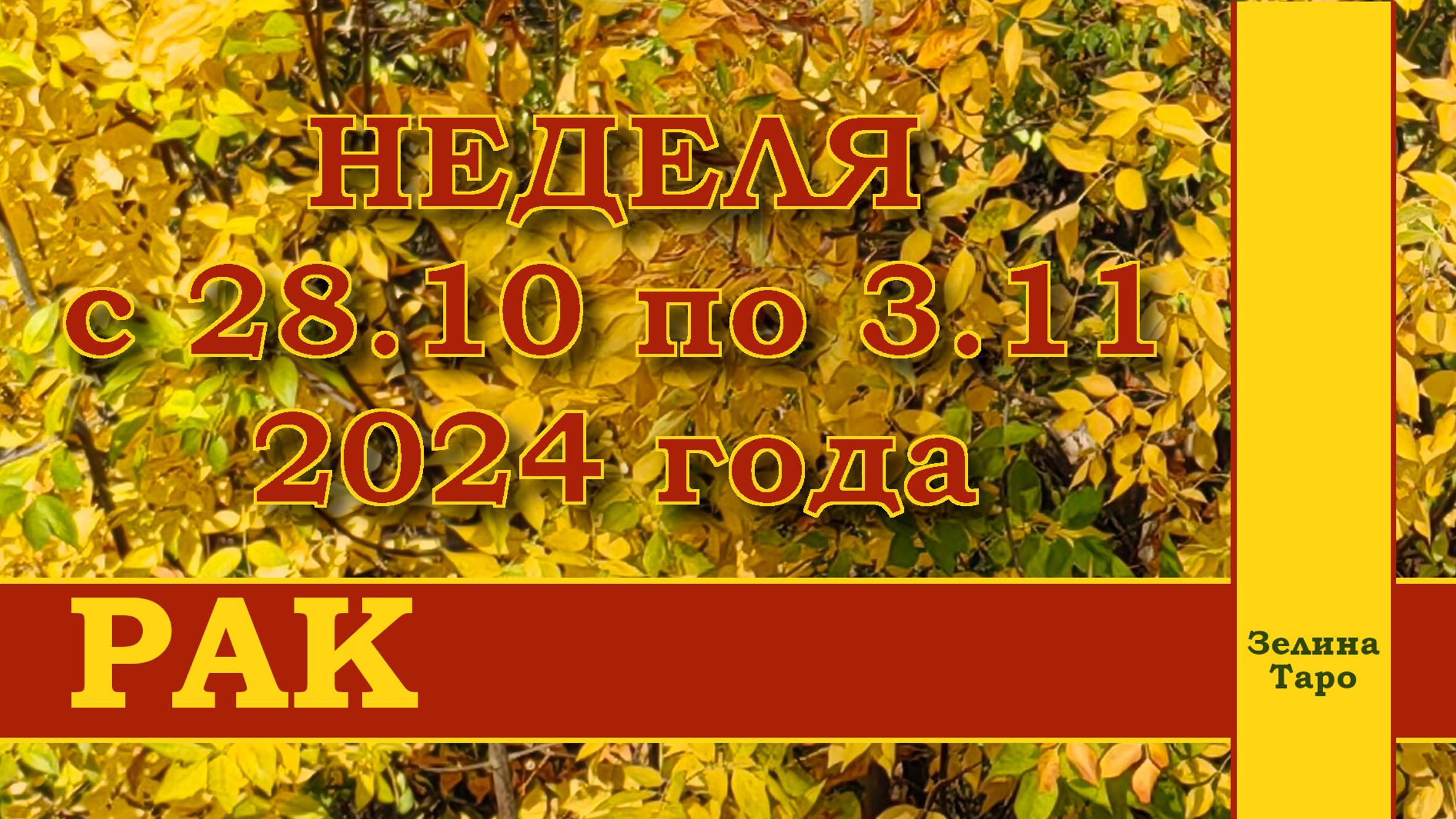 РАК | ТАРО прогноз на неделю с 28 октября по 3 ноября 2024 года
