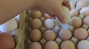 Покупки за неделю. Снова потратились на мясо.