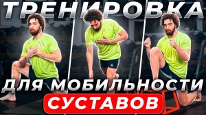 Тренировка на мобильность и подвижность | Круговая тренировка | PopUp#1