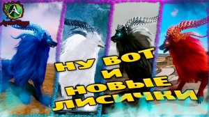 Обзор четыре фуксории ➤ Открываю 46шт коробки с лисами ➤ ArcheRage ➤ 2022 #2