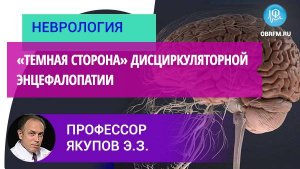 Профессор Якупов Э.З.: «Темная сторона» дисциркуляторной энцефалопатии