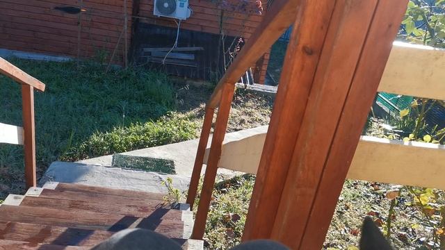 сочи горное лоо утро