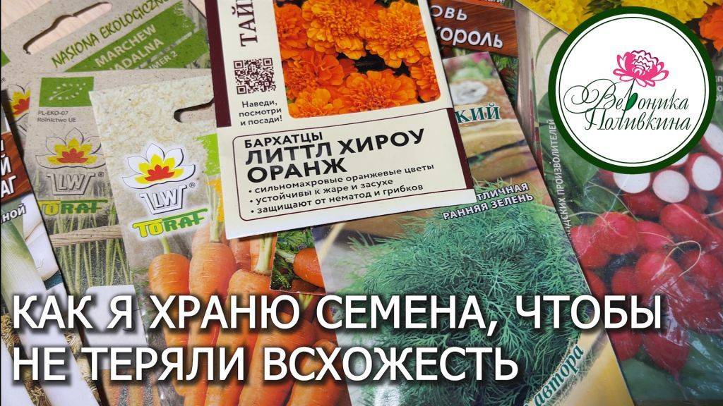 Как я храню семена, чтобы не потеряли всхожесть