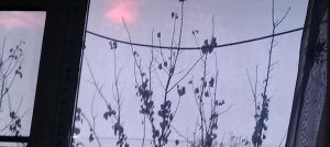 Влош🤍🖤🤍