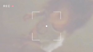 #двойняшки #Настя #Лиза