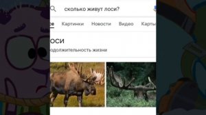 тайна лосяша раскрыта (теория N2)