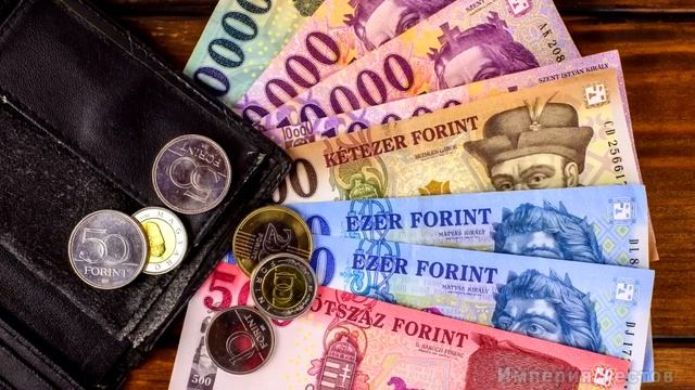 НАСКОЛЬКО СТАР ВАШ МОЗГ? Невероятный тест на эрудицию и образованность
