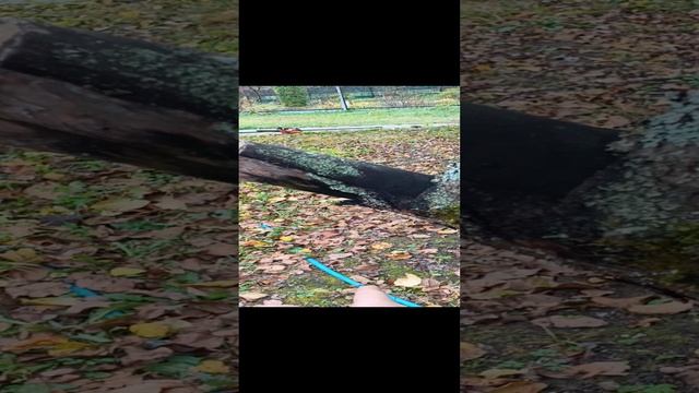 #сезонконтентаRUTUBE звено замещения надо вовремя вырезать