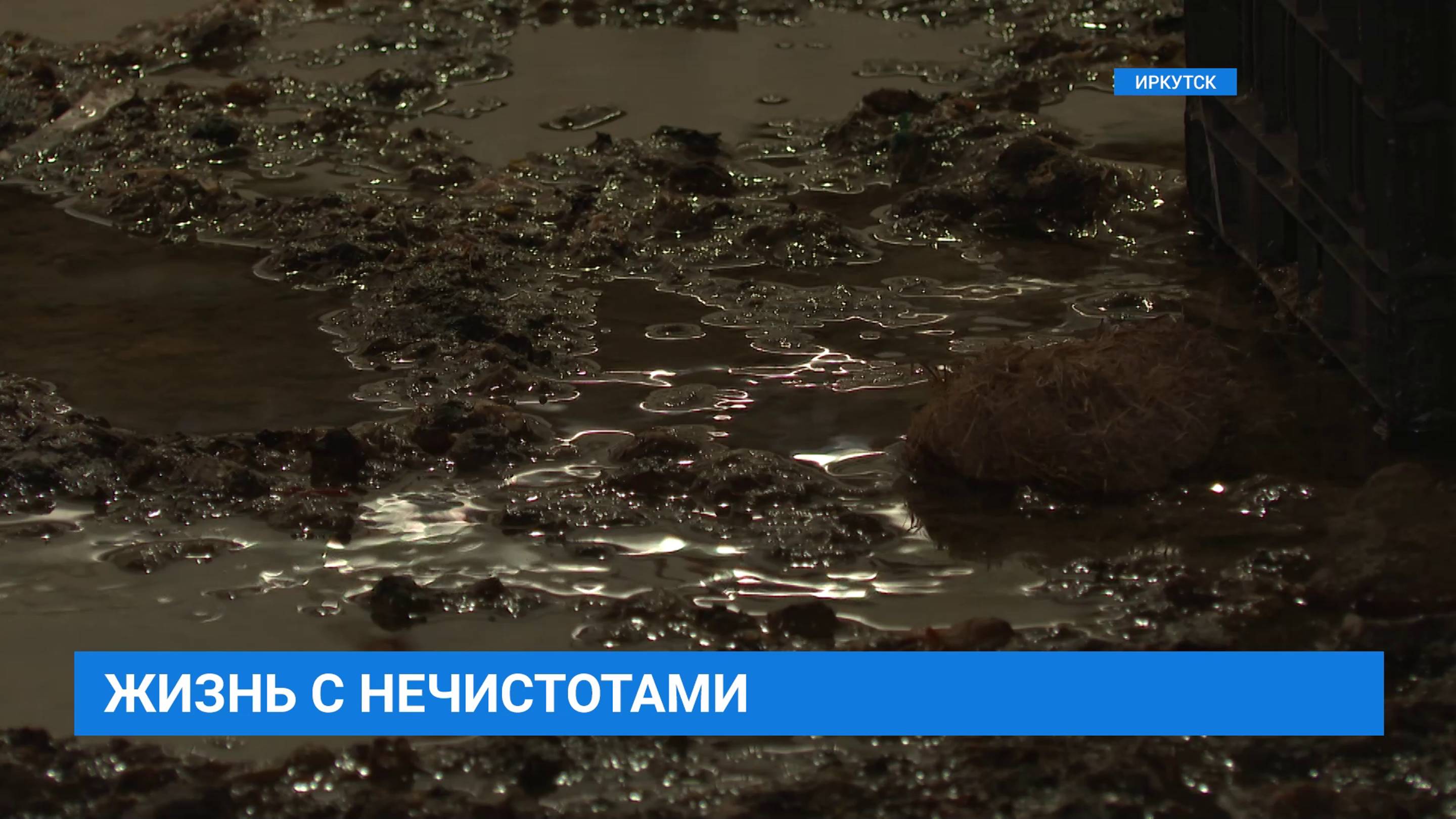 5 лет зловония. Неприятный запах из подвала не даёт покоя жителям дома по адресу Байкальская 332