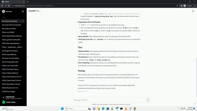 run python script daily