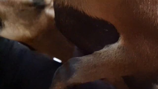 Berlin City Trip 2017 смотреть онлайн