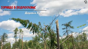 Торнадо в Московской области 20 июня 2024 года | Последствия в Акулово и СНТ Старт #tornado