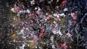 Бразильская Коллекция. Музыка Christoph Spendel - Brasilian Coast Song