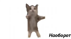 шни шна шнапи шнапи шнапи шна 2|Все Виды)