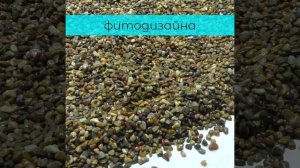 Галька морская Дикий пляж 3-5 мм  #галька #оптом #рек