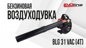 Садовая воздуходувка / садовый пылесос EVOline BLG 31 VAC (4T)