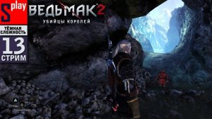 The Witcher 2 (ТЁМНАЯ СЛОЖН.) - [13-стрим] - Катакомбы и гробницы