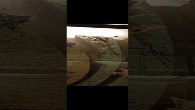 Это зоологический музей. Снятое 15.10.2024.