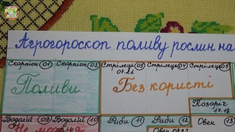 НОЯБРЬ 2024: КОГДА ПОЛИВЫ ОПАСНЫ для растений? ПОЛИВАЕМ ПРАВИЛЬНО!