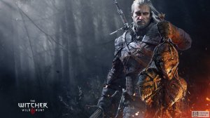 Ведьмак Бари из Ривии Witcher 3 Дикая охота #2022