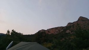 Инжир. Посиделки. Август 2021