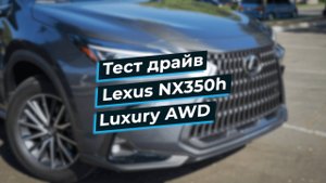 Обзор Lexus NX 350h AWD 2025 года | Цена и комплектация