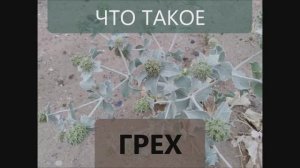 Грех в Православии это что конкретно? Простыми словами объяснение.
