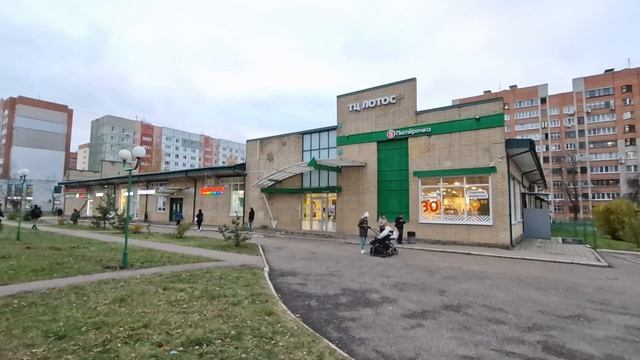 Обзорное