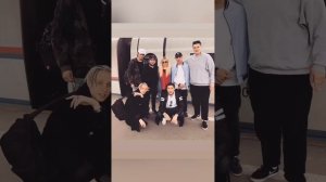 T-Fest-домосед