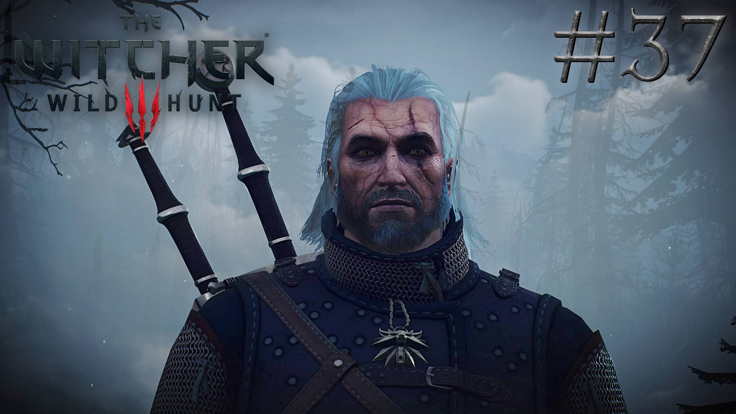 КАК Я ПОЕХАЛ НА СКЕЛЛИГЕ | Ведьмак 3: Дикая Охота (The Witcher 3: Wild Hunt) #37