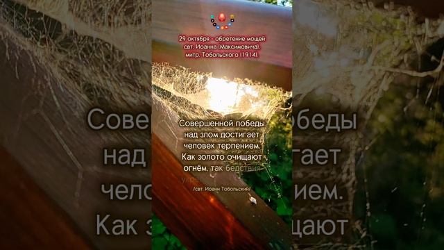 https://rutube.ru/video/5e81fffb61cdb0ca8d03d015dc3bbecc/?r=a