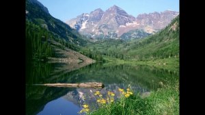 Цветы Без Повода - -Мила Кутафина @2024@