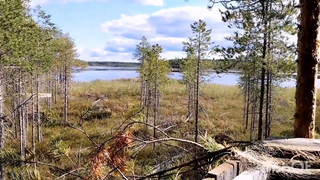 Проект Карелия - август 2023, част 2. смотреть онлайн