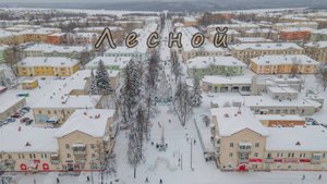 Лесной зима 2020-2021. Вид с высоты.