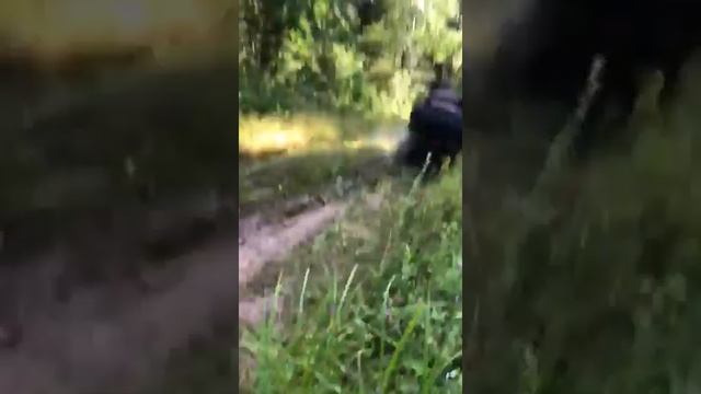 На охоте, пробираемся к полям.